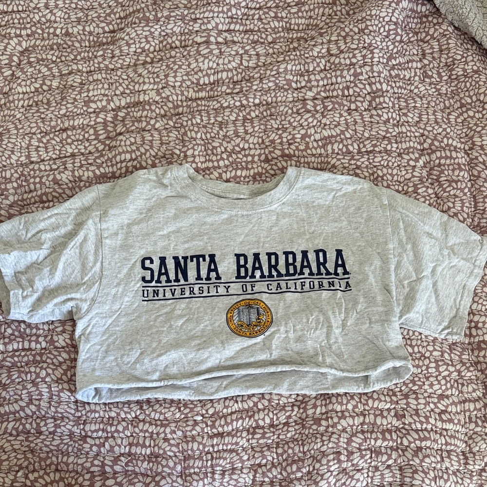 UCSB College Crop Top